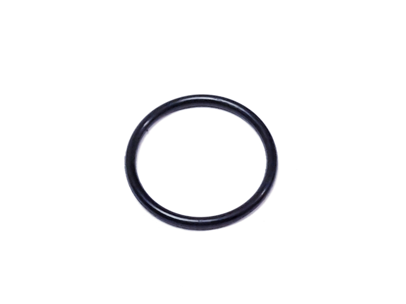 Sealing ring