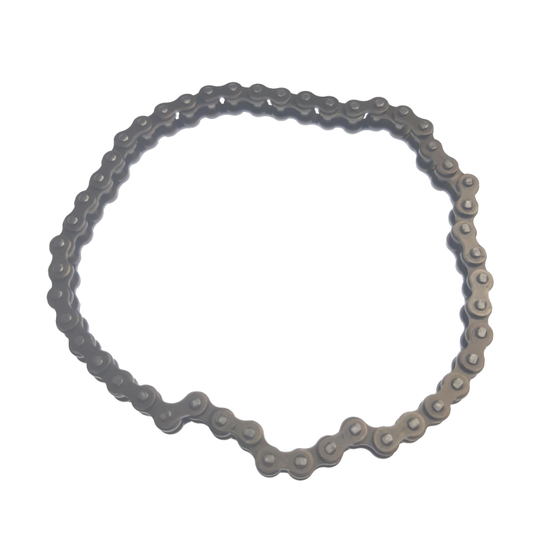 Chain, Cam