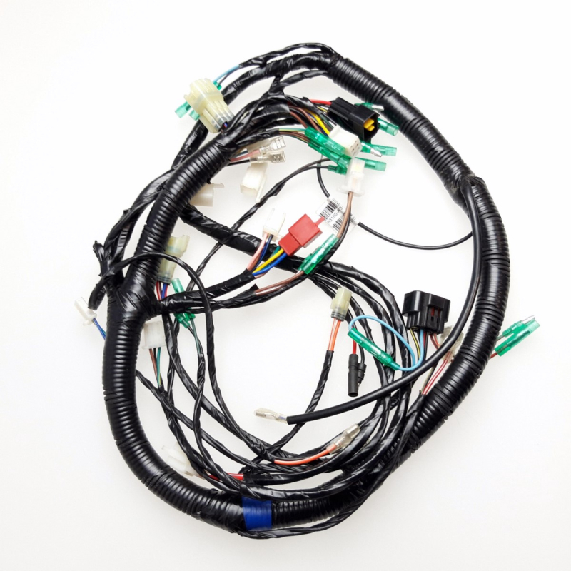 Main Wire Ass'y