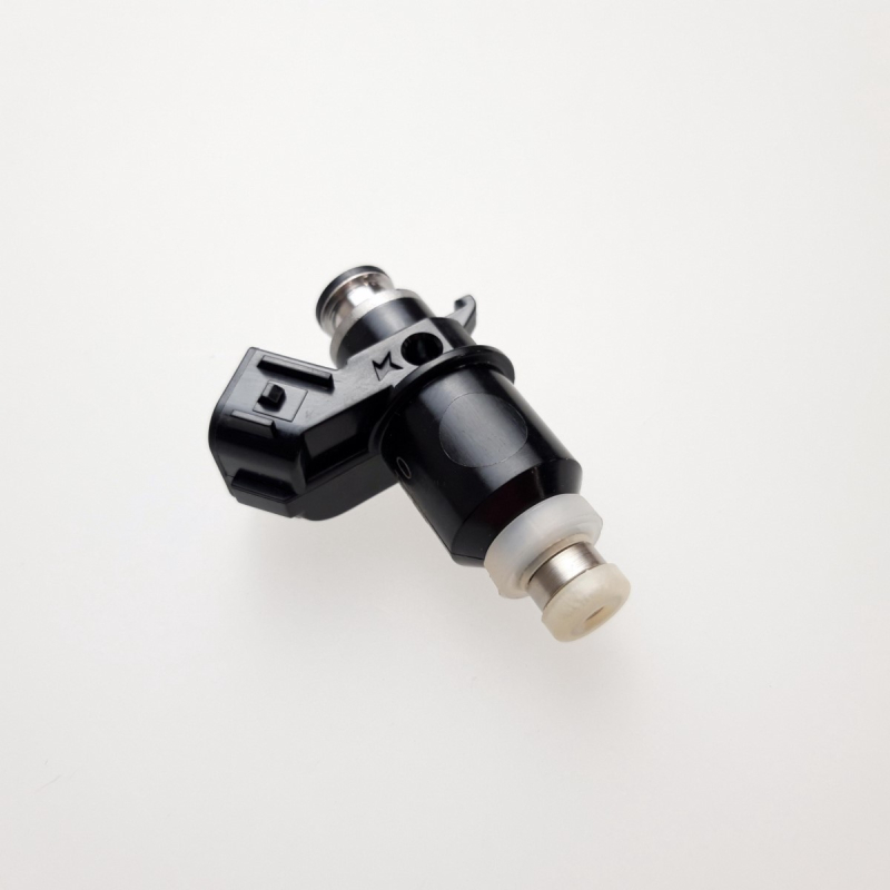 Injector, Fuel