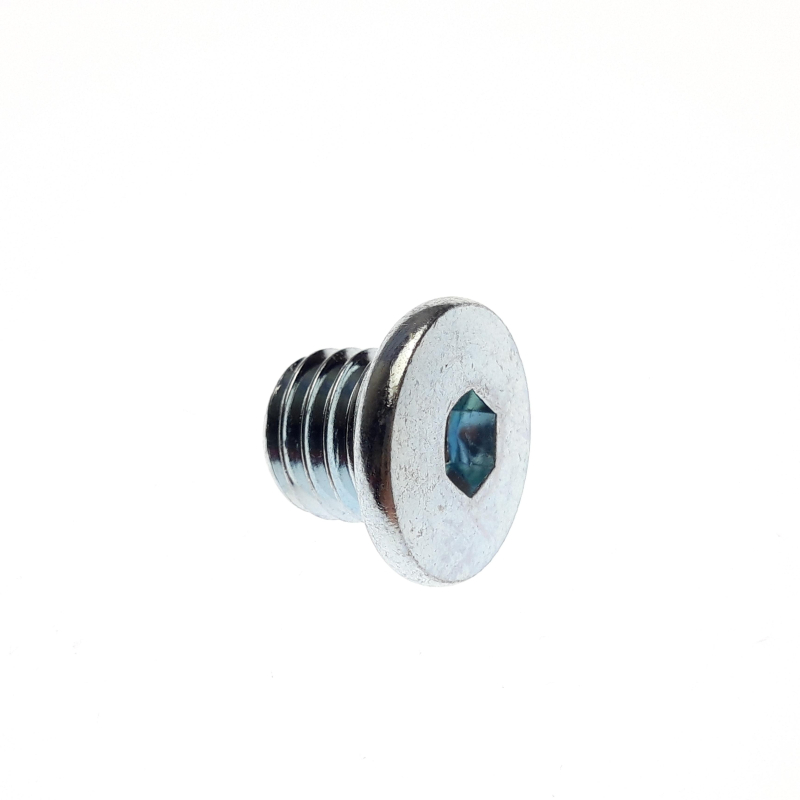 SCREW, SOCKET