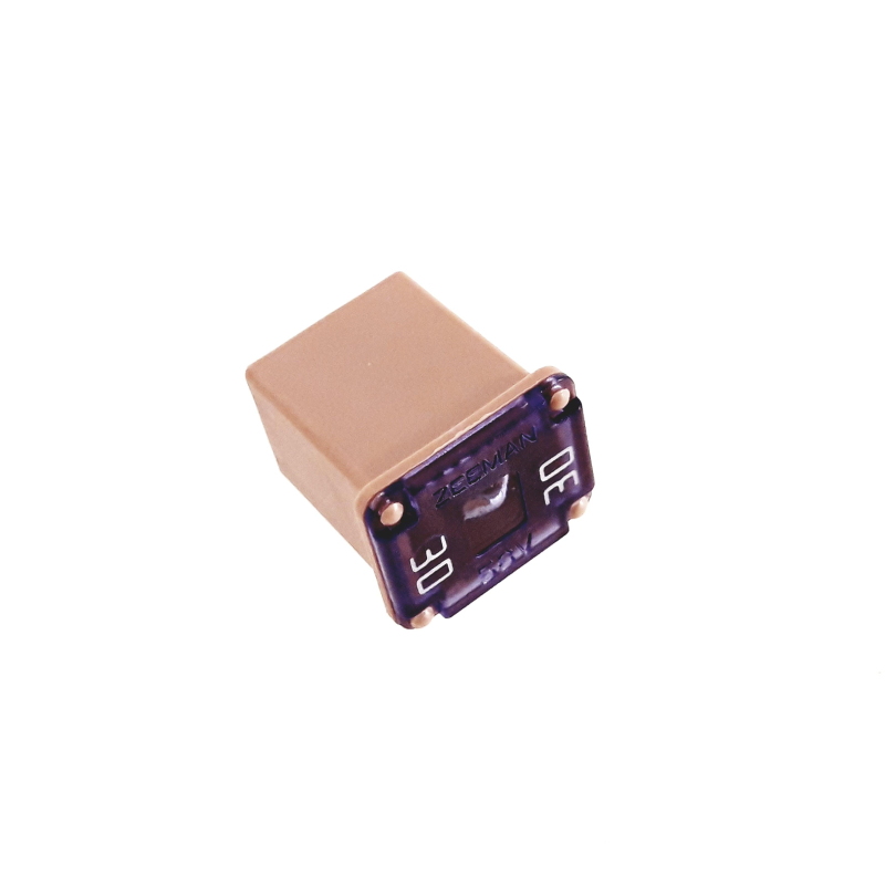 slow-fuse30A