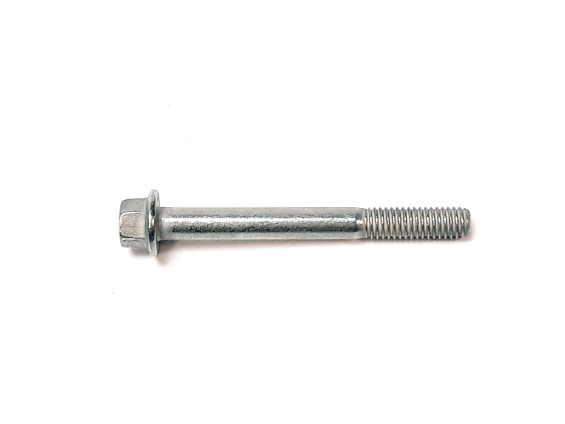 BOLT M6×55