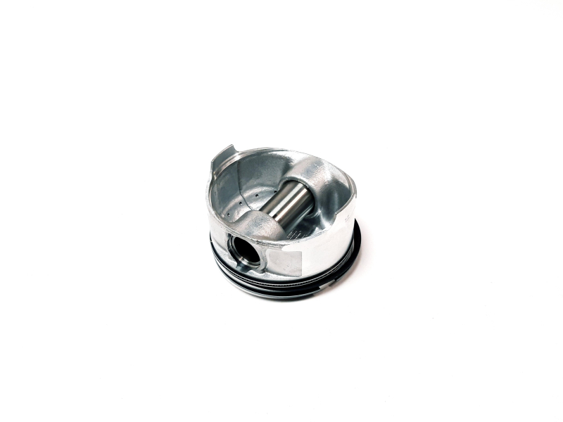 PISTON ASSEMBLY