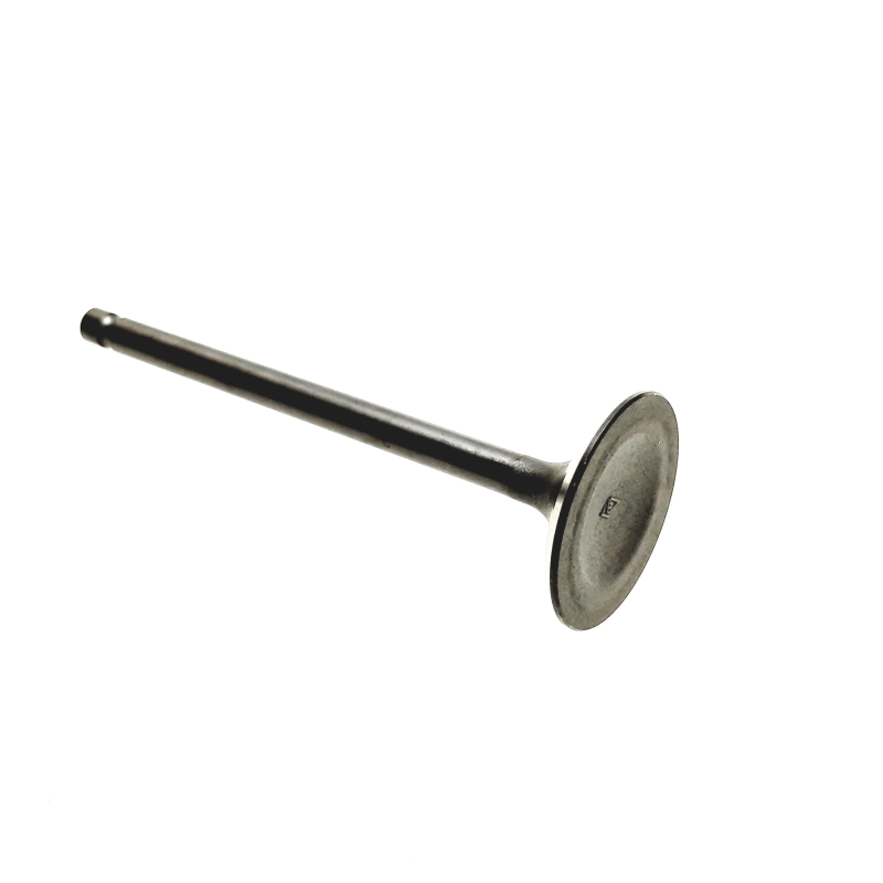 Оригінальна запчастина Access Valve, Exhaust