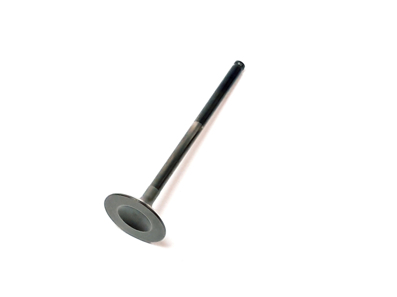 EXHAUST VALVE
