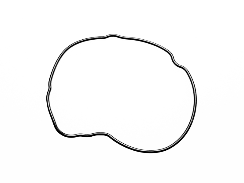 Оригінальна запчастина Segway WATER PUMP COVER SEALING RING