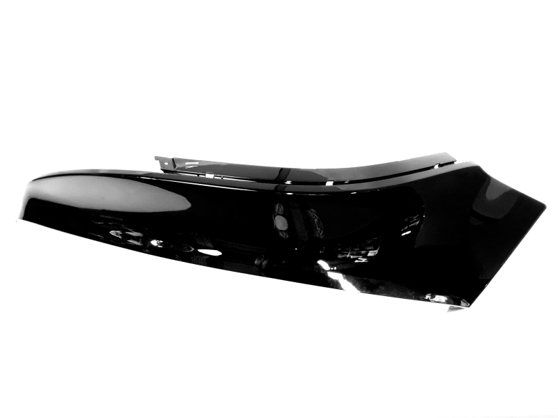 R/B S05-H157000-PB1-00 RL GUARD (BLACK)