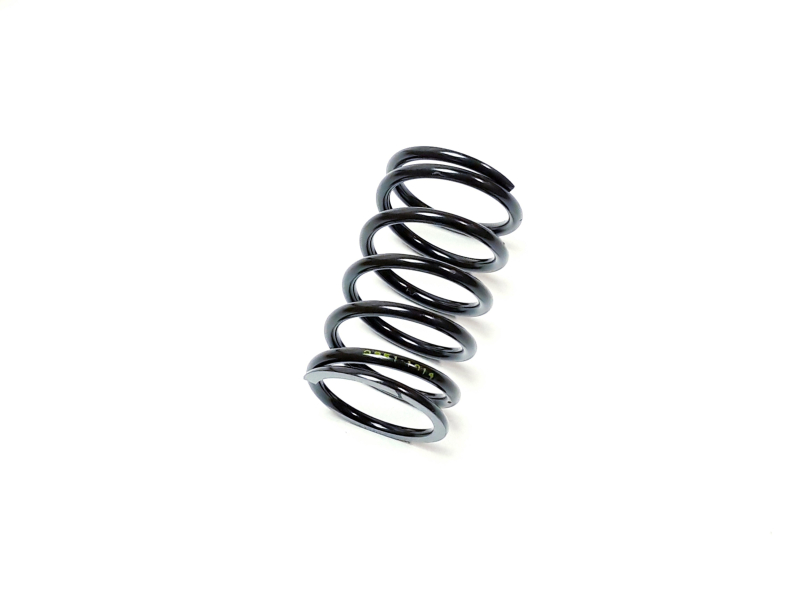 Оригінальна запчастина Segway SPRING