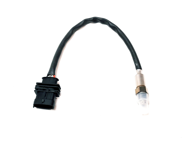 M12 OXYGEN SENSOR