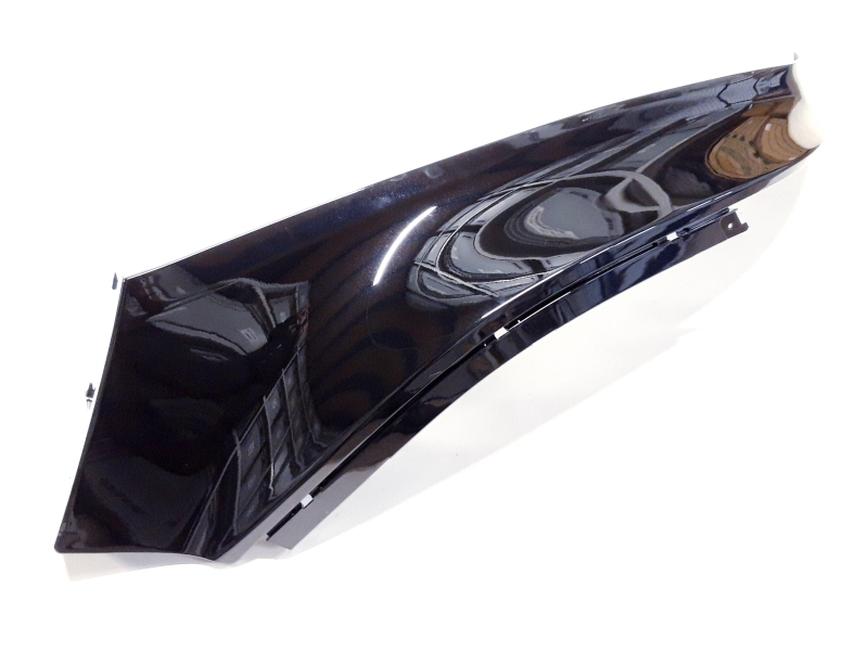 RL GUARD (BLACK)