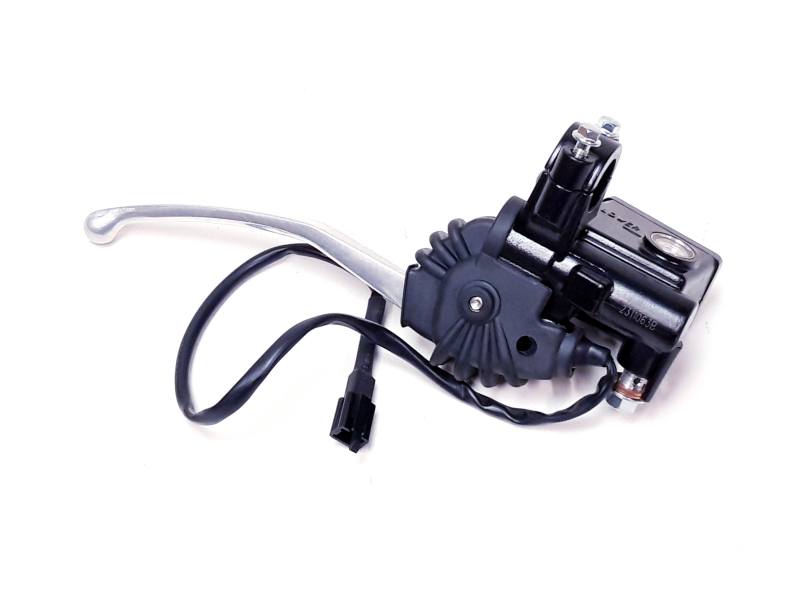 REAR BRAKE ASSY