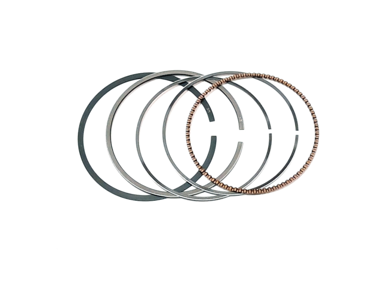 OIL RING ASSY