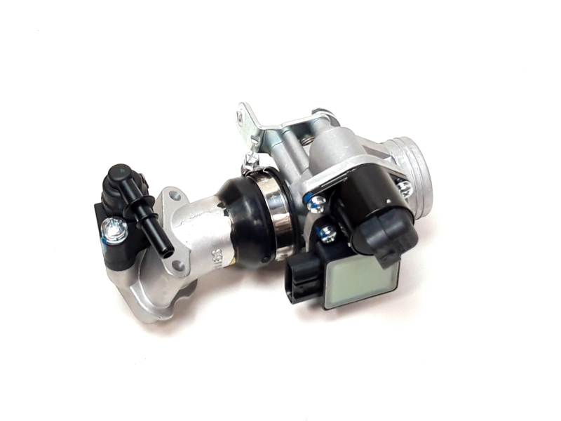 Fuel injection assy